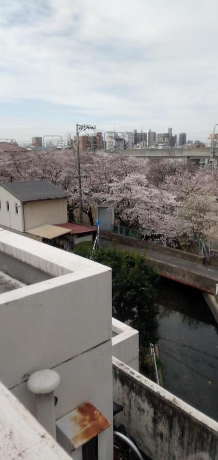 Cherry Blossom Koseicho Okayama Buitenkant foto